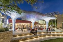 DomainNORTHSIDE_Art Tree_endeavor-1425